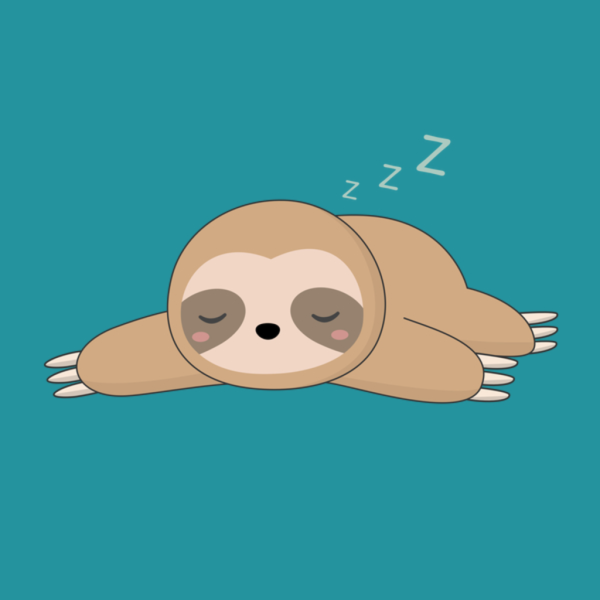 Ленивец милый арт