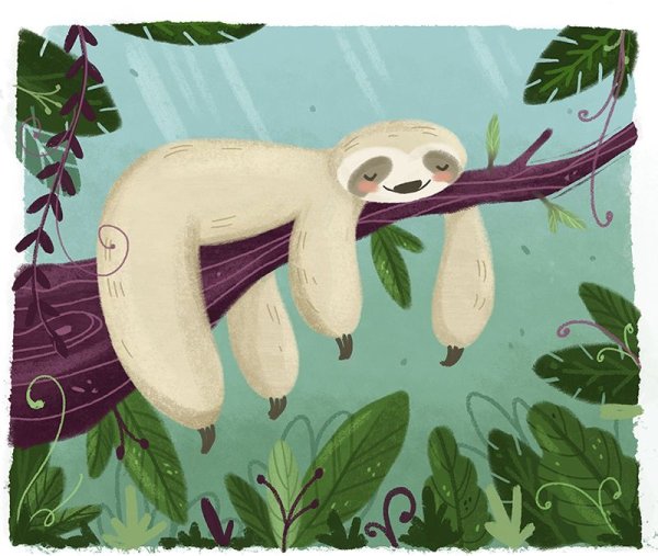 Ленивец милый арт