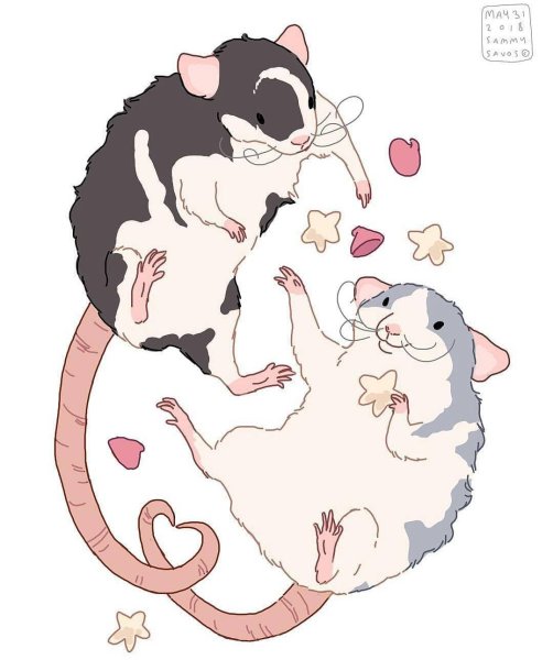 Милые рисуночки с крысами