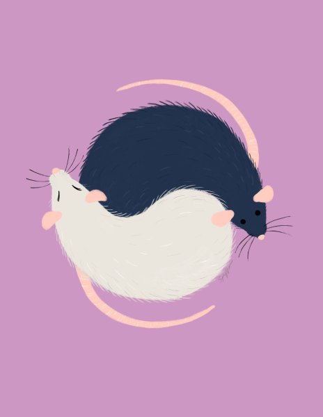 Крысы арт милые
