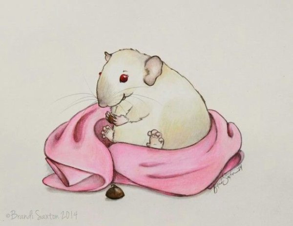 Милые крысы для срисовки