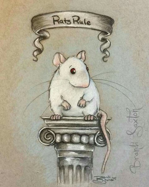 Милые зарисовки крыса