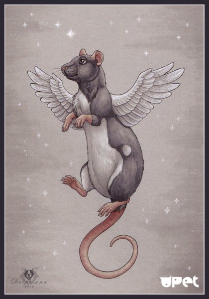 Крыса с крылышками арт