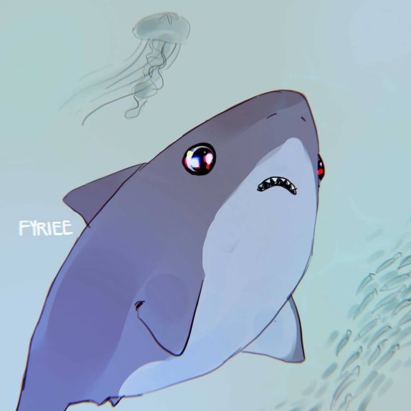 Ава акуленка