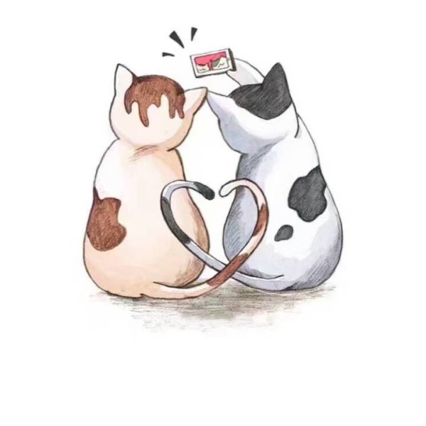 Котики обнимаются мультяшные