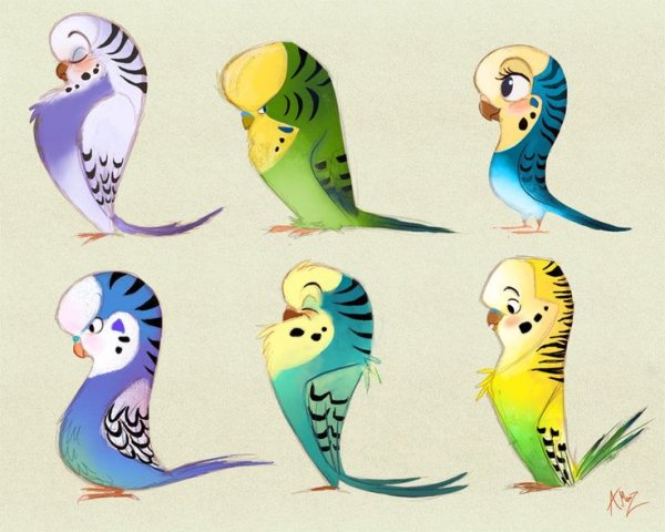 Попугай стилизация
