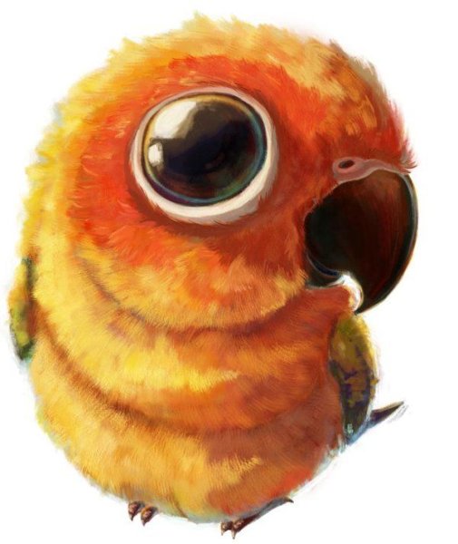 Милый попугай арт