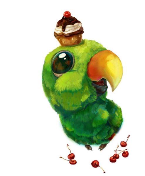 Милые попугайчики