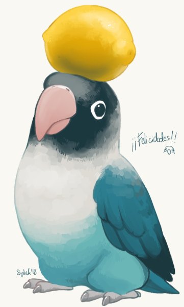 Арты попугаев