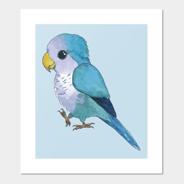 Милашки рисунки попугай