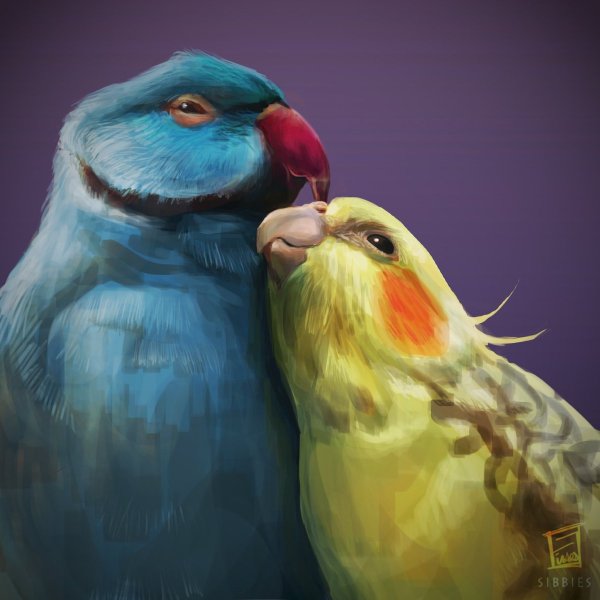 Милые попугайчики арт