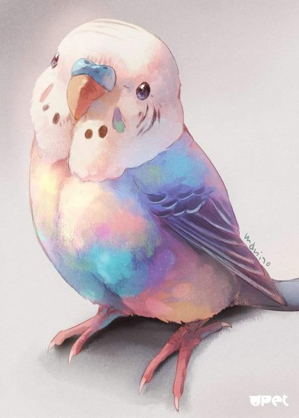 Милые рисунки