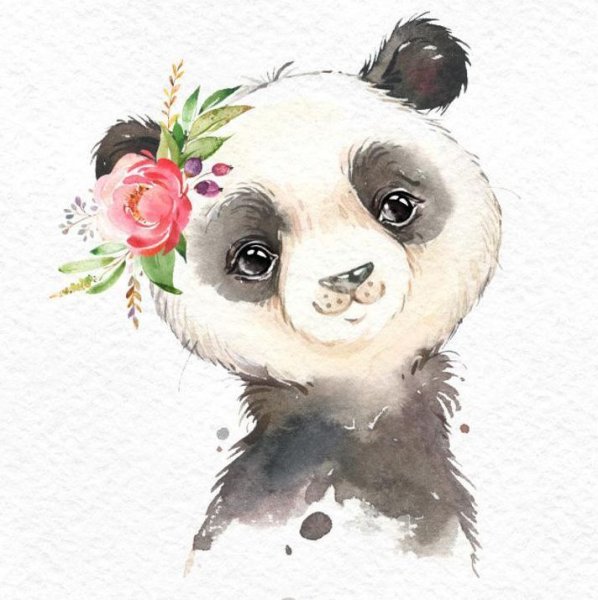 Акварельные зверята