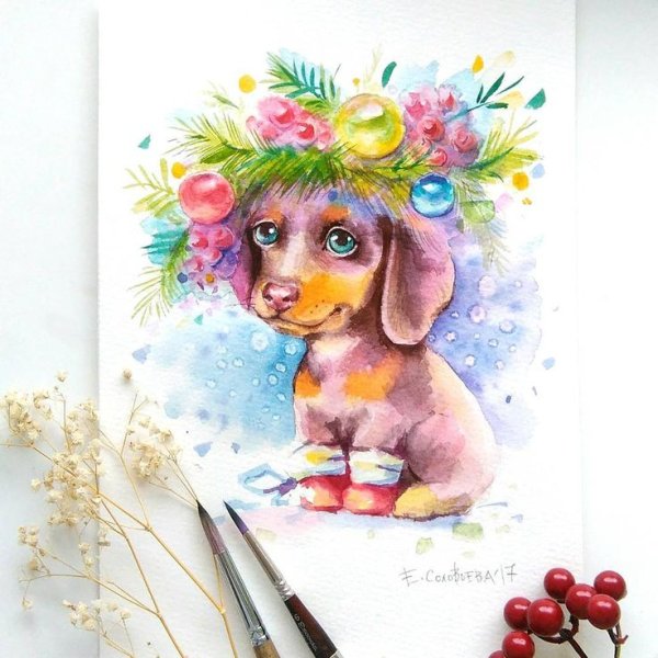 Евгения Соловьева (@genechka_djogan)