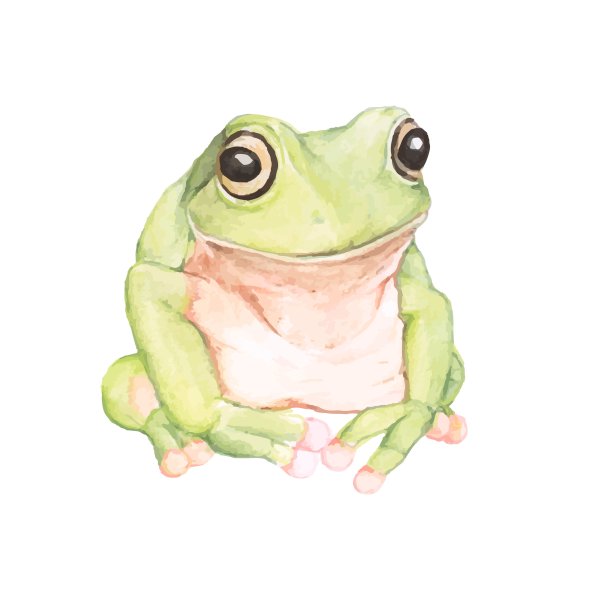 Лягушка нарисованная милая