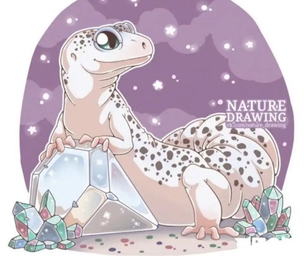 Геккон эублефар хуманизация