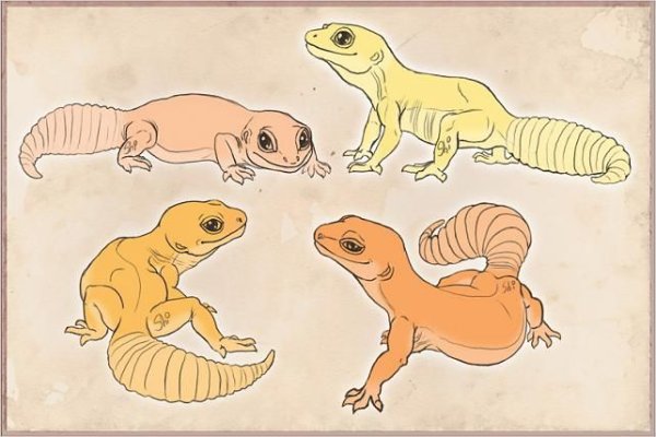 Эублефар референс