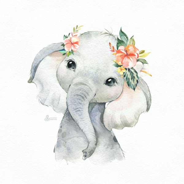 Слоненок акварель