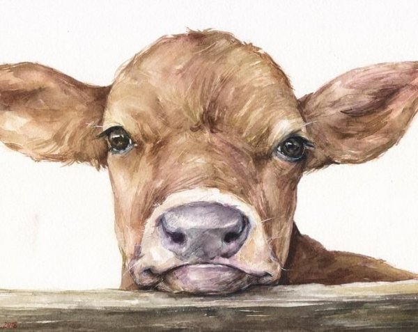 Теленок мультяшный