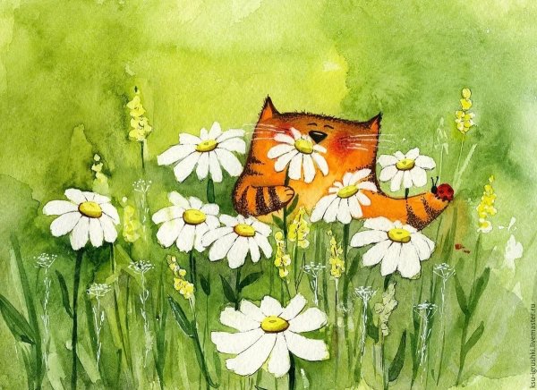 Кот в ромашках