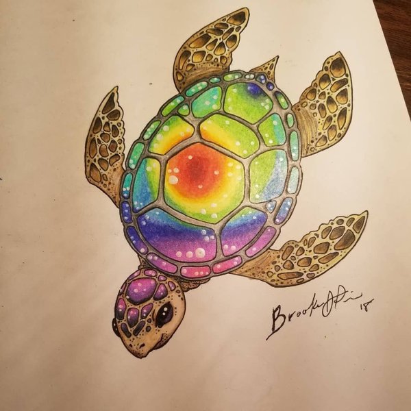 Черепаха эскиз