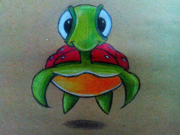 Черепашка для срисовки