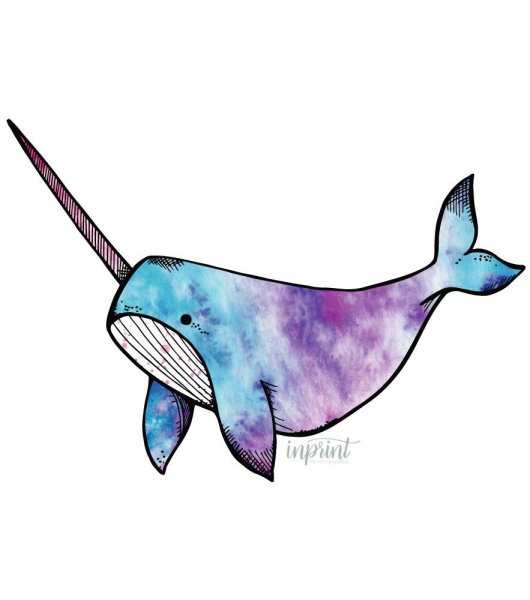 Нарвалы арты