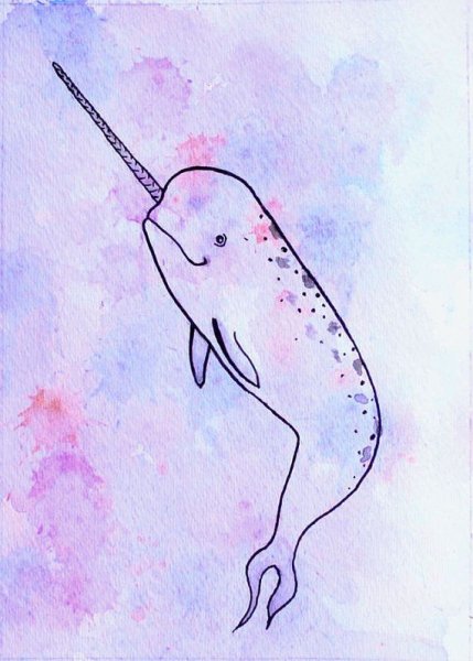 Нарвал милый