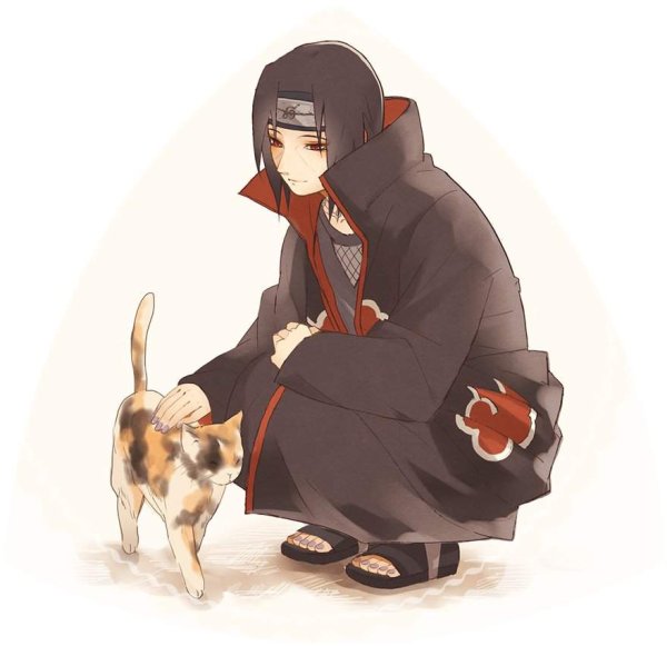 Итачи кот арт