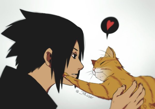 Итачи и Саске коты