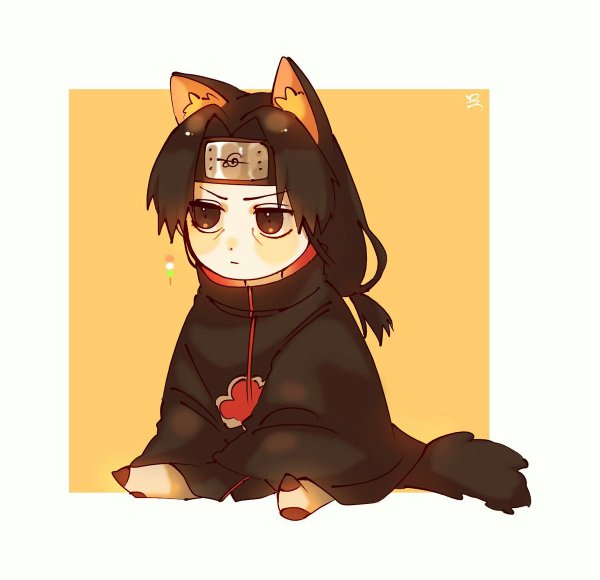 Итачи кот арт