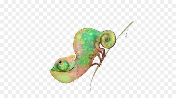 Хамелеон мультяшный арт