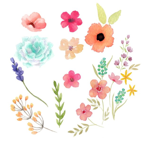 Акварельные маленькие цветочки