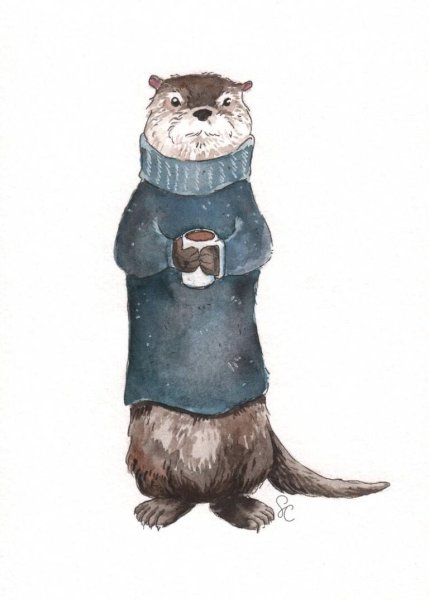 Выдра рисунок