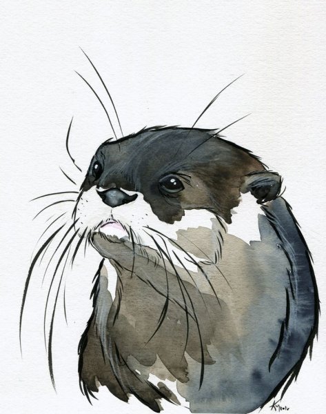 Выдра стилизация