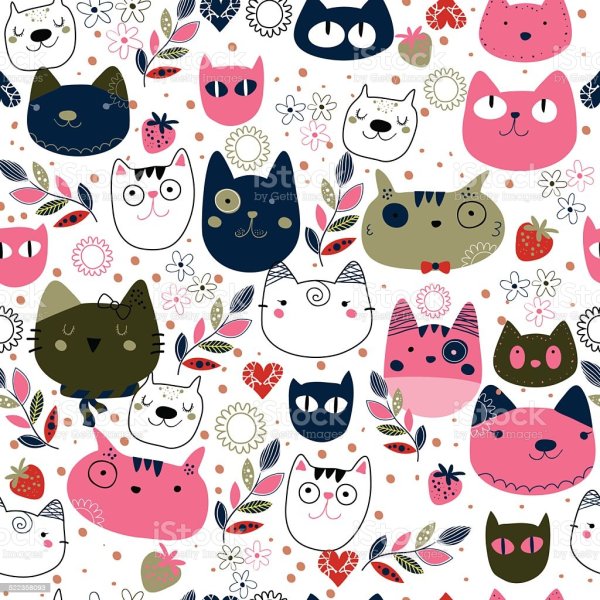 Паттерны коты