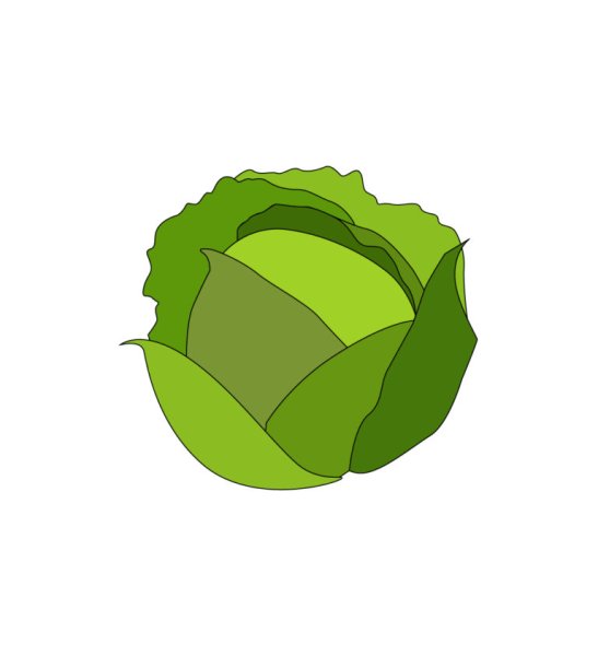 Капуста мультяшная