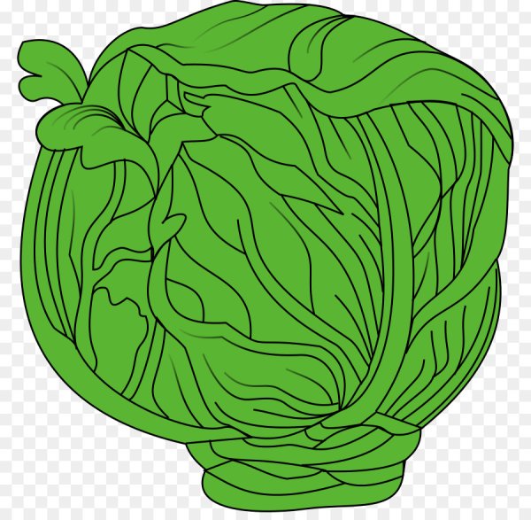 Нарезанная капуста вектор