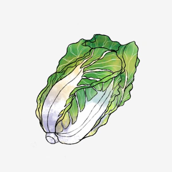Капуста для рисования