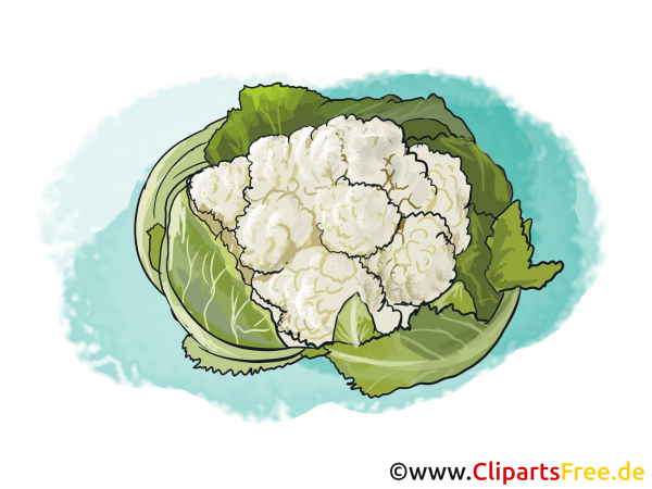 Натюрморт с капустой акварель