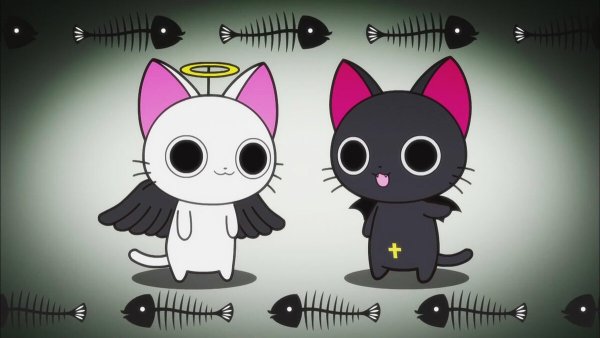 Няшные котики аниме