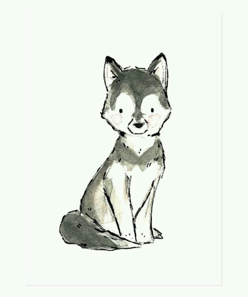 Хаски скетч