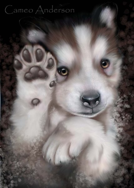 Милые рисунки щенков хаски