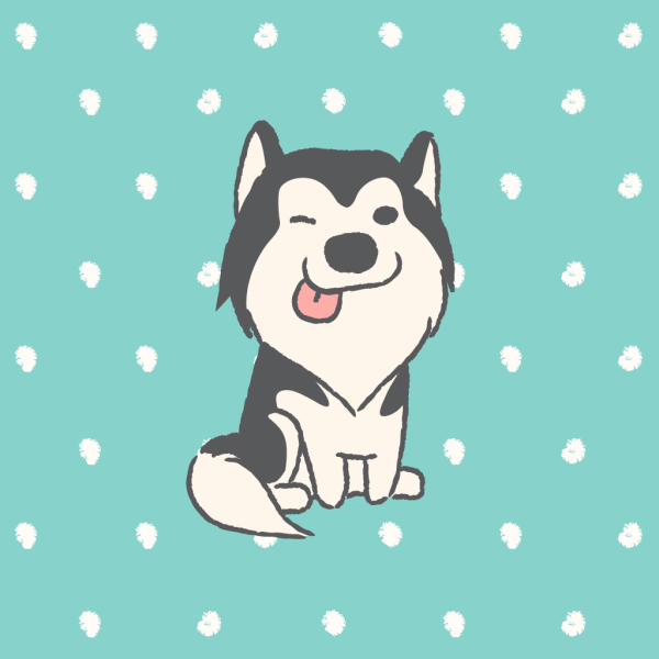 Каваи хаски