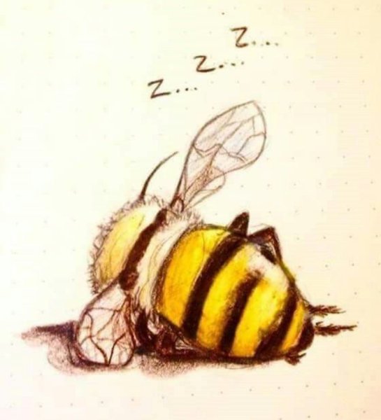 Пьяная пчела