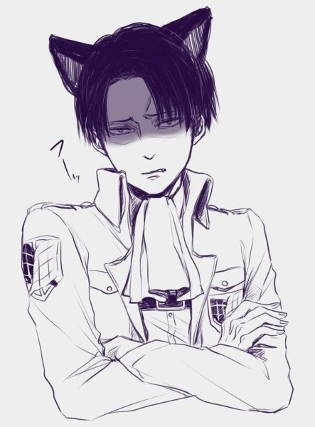 Капрал Леви арт