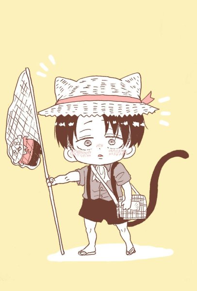 Леви Аккерман неко Чиби