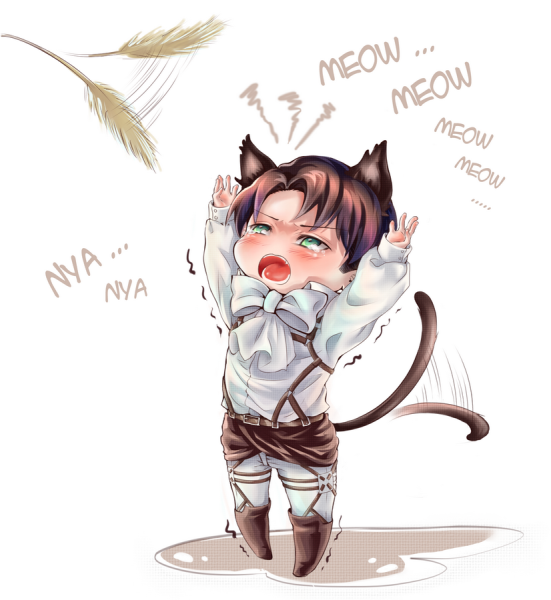 Атака титанов Леви неко Чиби