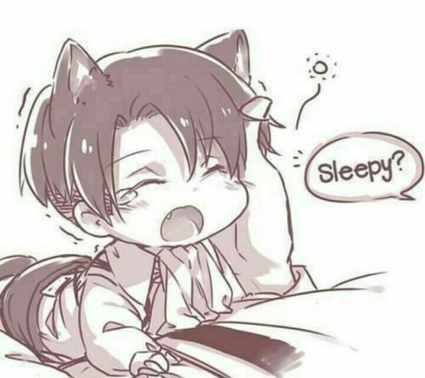 Леви Аккерман неко Чиби