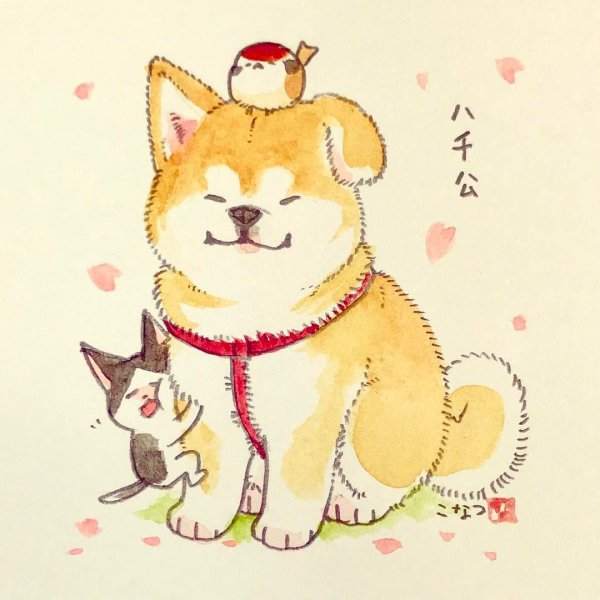 Акита ину скетч